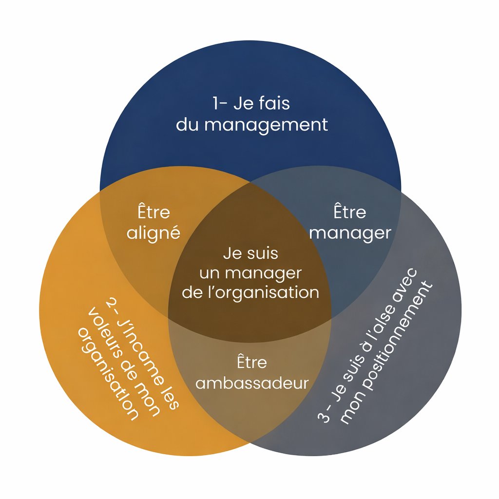 Schéma Leadership: Management, Valeurs, Positionnement
